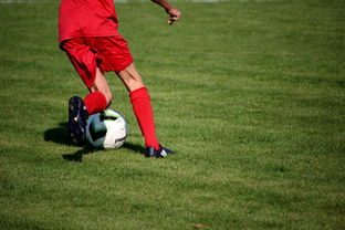 开云下载-校园足球师资培训体系建设方案,校园足球特色学校教师(教练员)线上培训